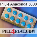 Anaconda 5000 Pill new09
